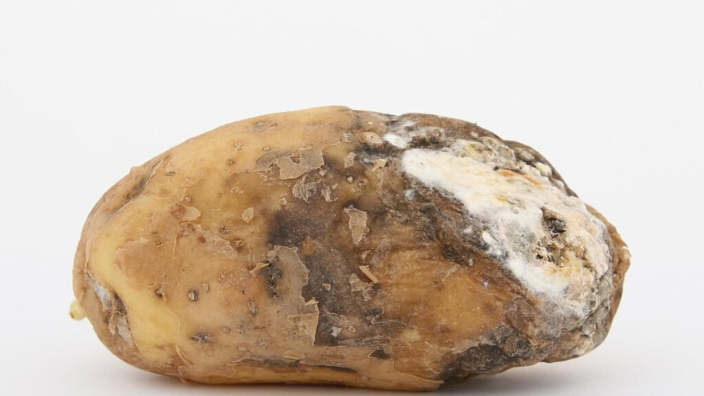 Aging Imperfectly But With Attitude